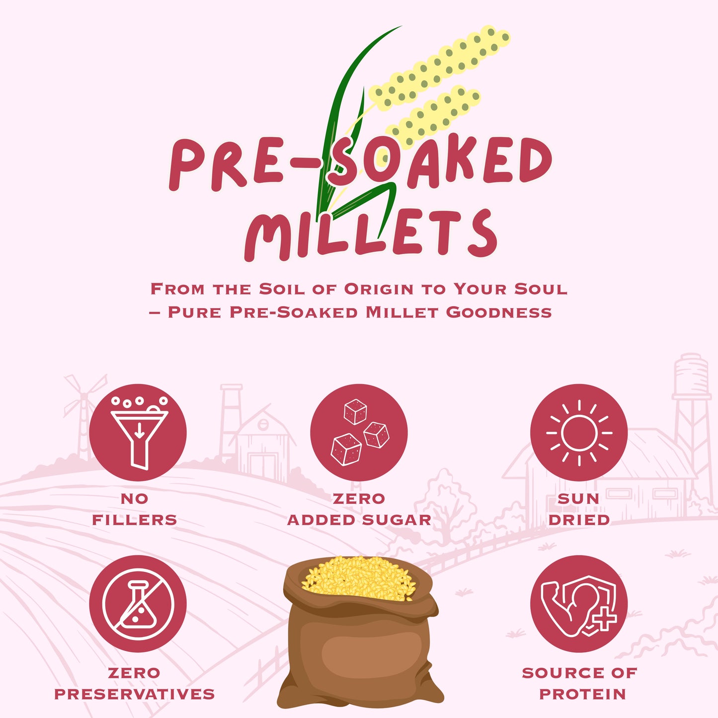 Pre-Soaked Millets 2Kg ( Foxtail, Little, Kodo, Barnyard )