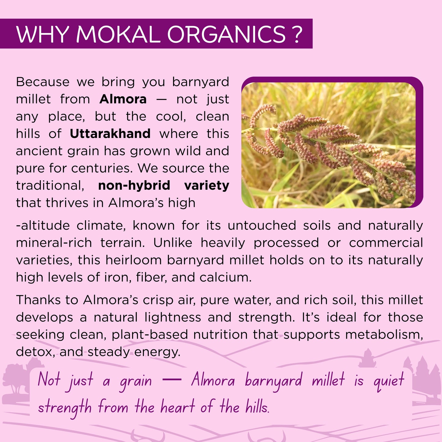 Pre-Soaked Barnyard Millet 1Kg