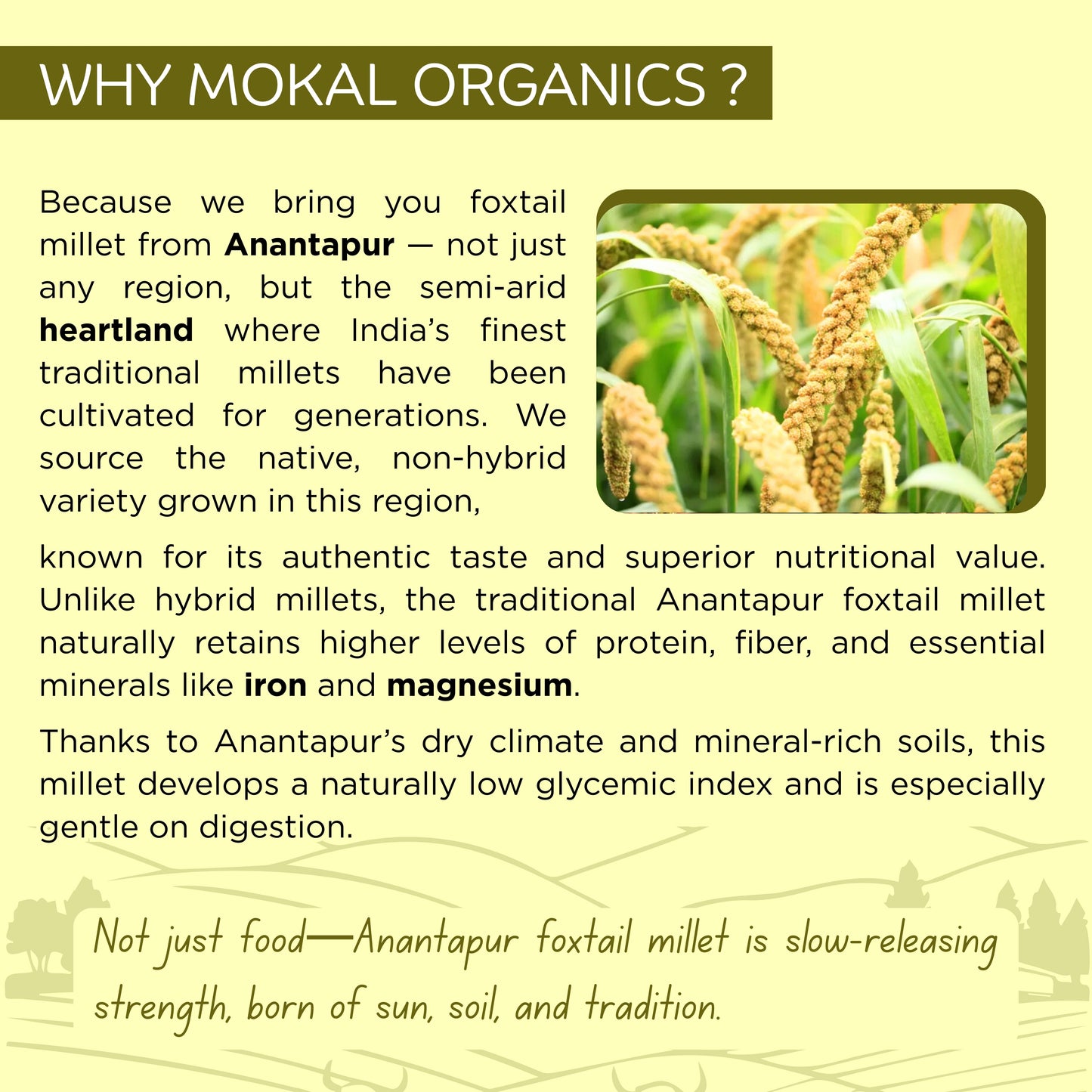 Pre-Soaked Foxtail Millet 1Kg