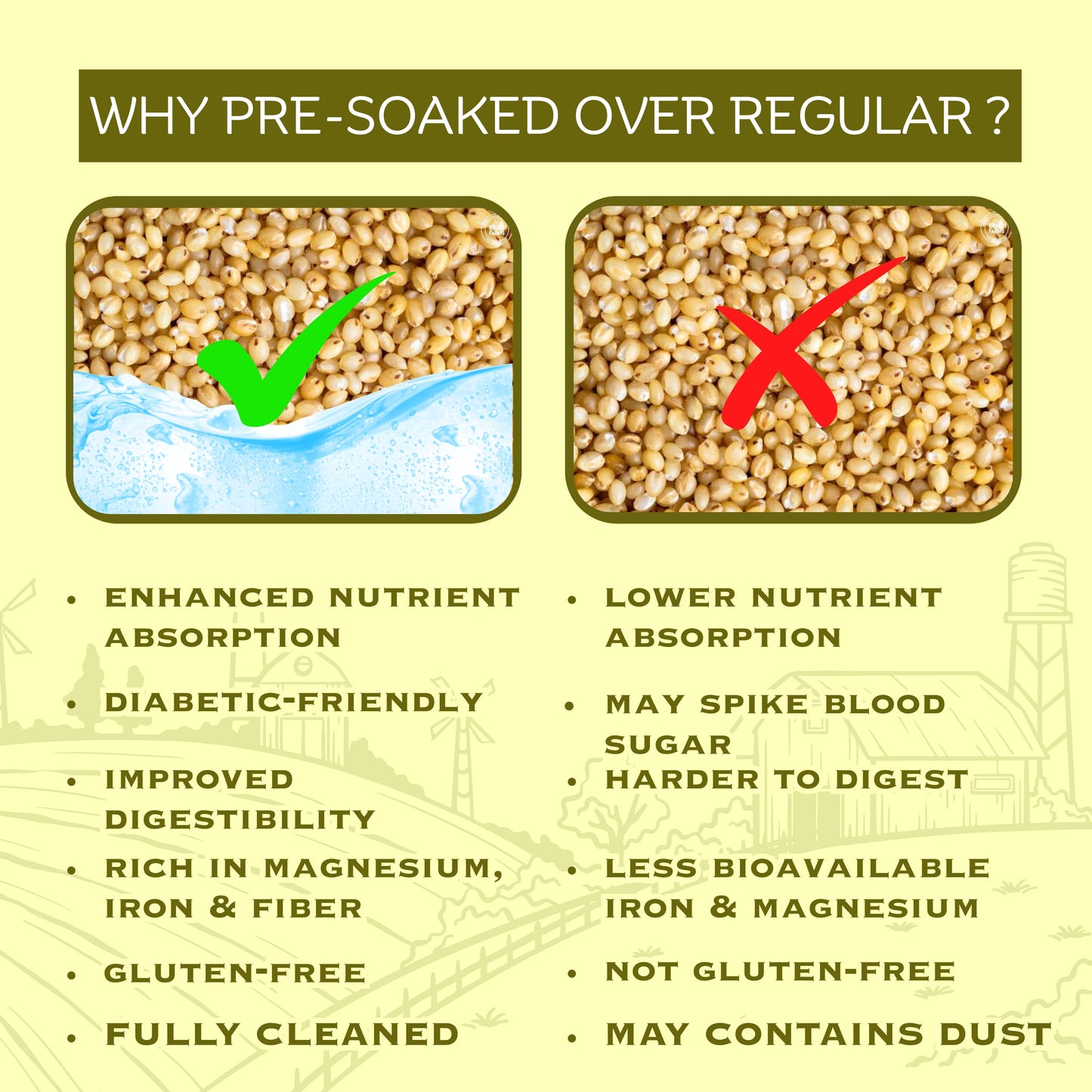 Pre-Soaked Foxtail Millet 1Kg