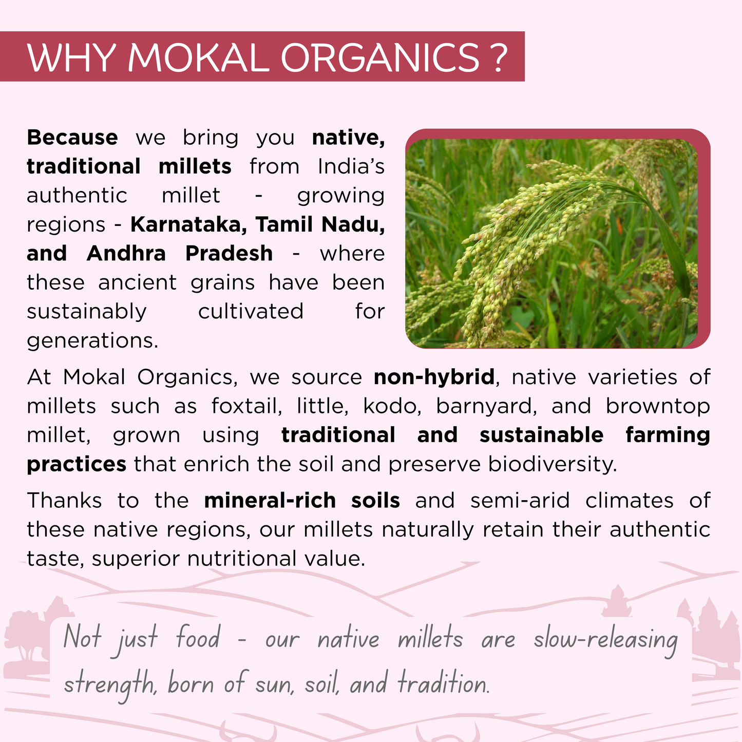 Pre-Soaked Millet Ravas Combo 2.5Kg ( Jowar, Ragi, Barnyard, Foxtail, Little ) 500g Each |Traditionally Stone-Ground By Hand | Unpolished Millet Ravas