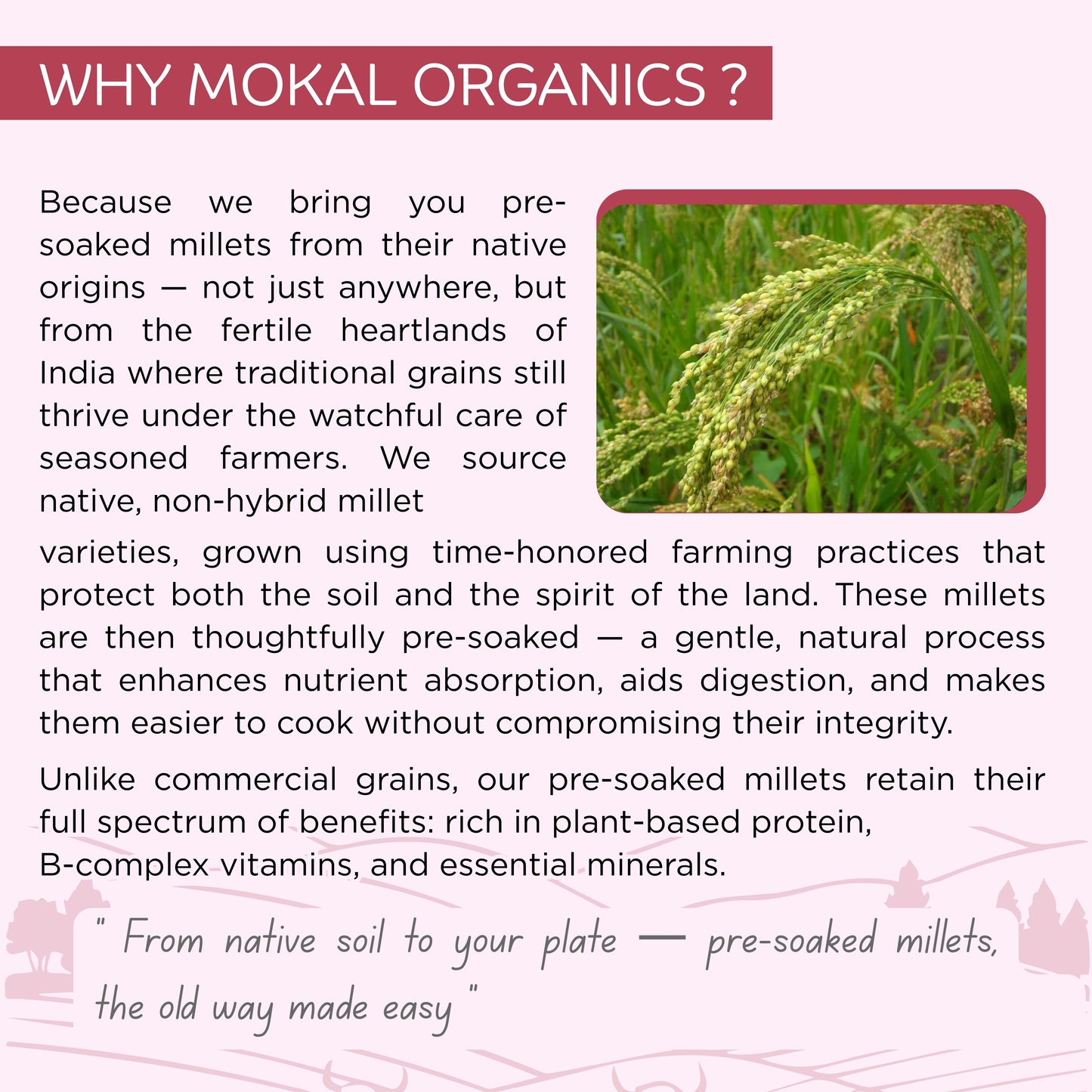 Pre-Soaked Millets 2Kg ( Foxtail & Little )