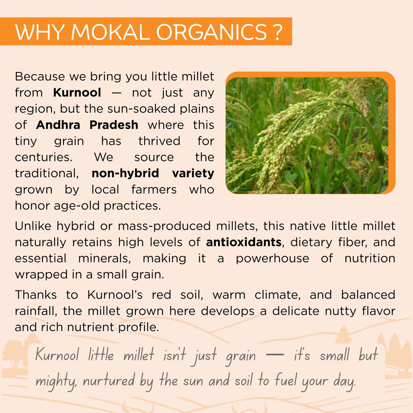 Pre-Soaked Little Millet 1Kg