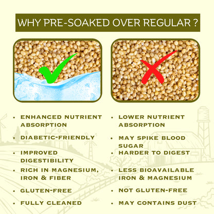 Pre-Soaked Foxtail Millet Rava 500g | Unpolished Foxtail Millet Rava | 100% Natural & Gluten Free | High Fibre and Plant Protein