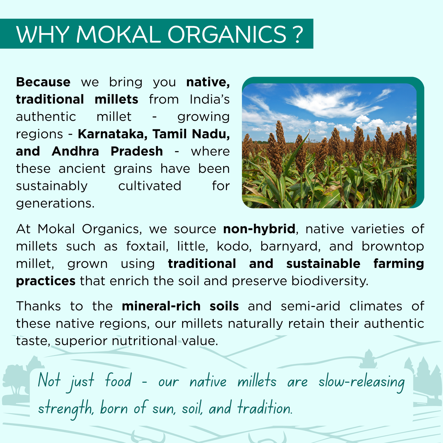 Pre-Soaked Jowar Millet Rava 1Kg | Jowar Idli Rava | Traditionally Stone-Grounded - ( 500g x 2 )