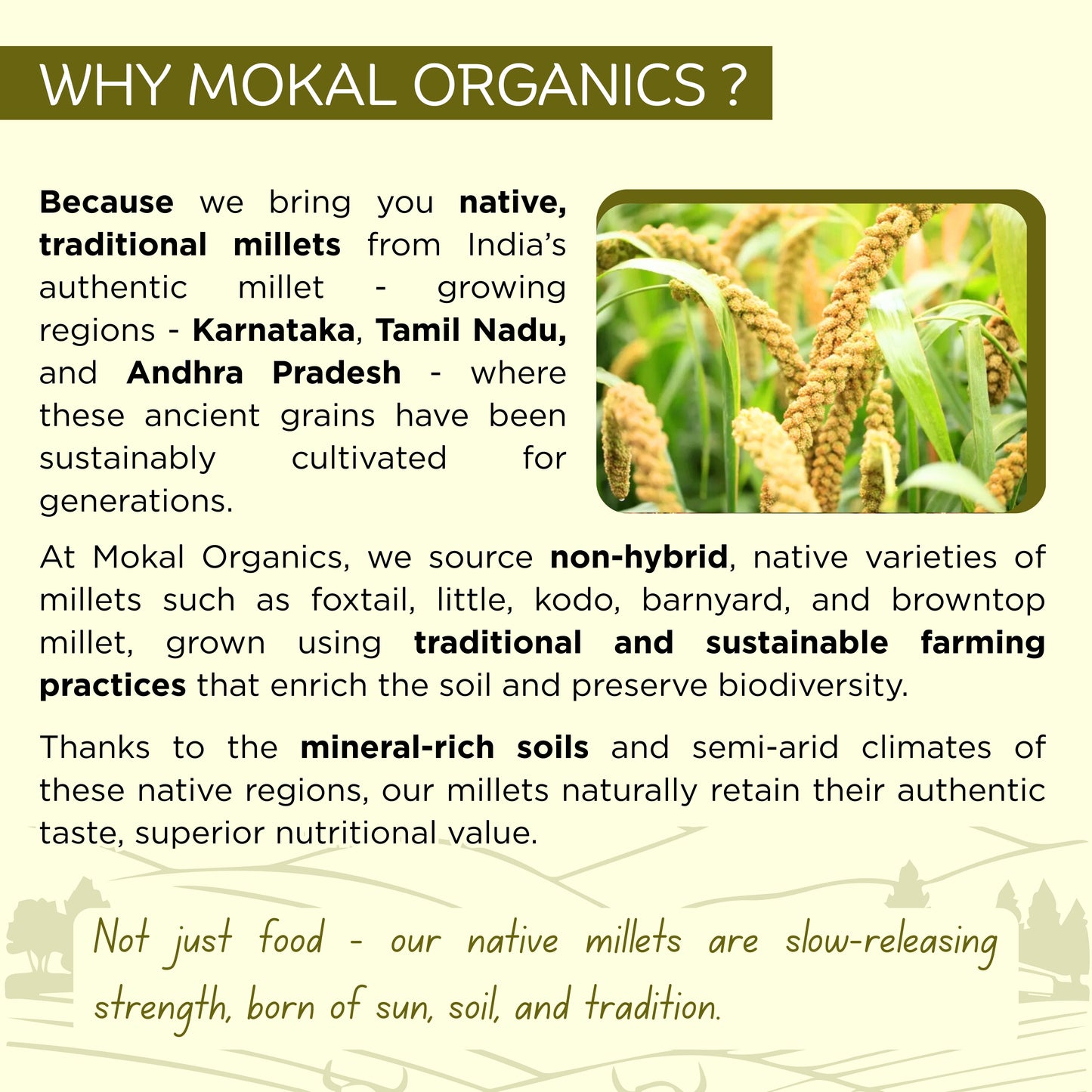 Pre-Soaked Foxtail Millet Rava 500g | Unpolished Foxtail Millet Rava | 100% Natural & Gluten Free | High Fibre and Plant Protein