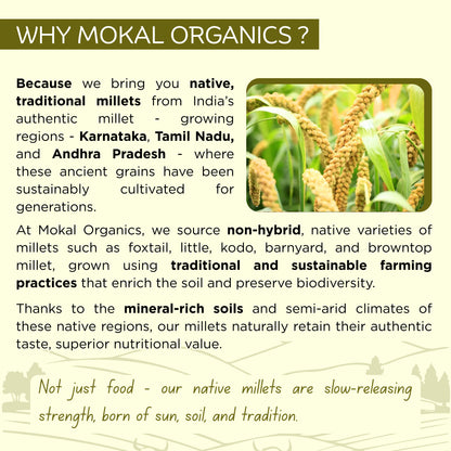 Pre-Soaked Foxtail Millet Rava 500g | Unpolished Foxtail Millet Rava | 100% Natural & Gluten Free | High Fibre and Plant Protein