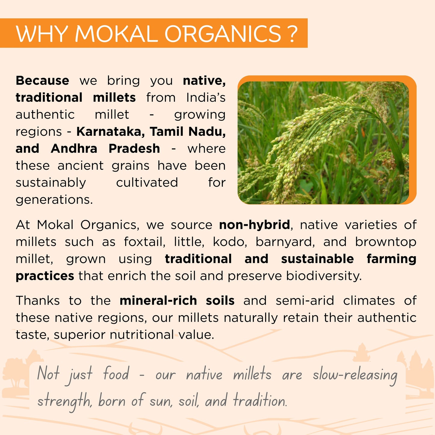 Pre-Soaked Little Millet Rava 500g | Unpolished Little Millet Rava | 100% Natural & Gluten Free | High Fibre and Plant Protein