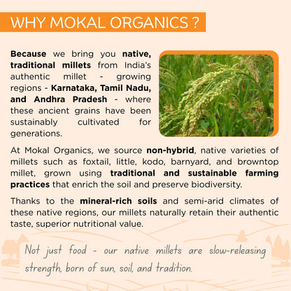 Pre-Soaked Little Millet Rava 500g | Unpolished Little Millet Rava | 100% Natural & Gluten Free | High Fibre and Plant Protein